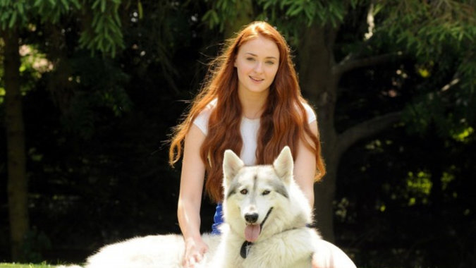 rsz_1k-bigpic.jpg rsz_1k-bigpic.jpg